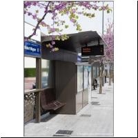 Paris, Robert Wagner.jpg